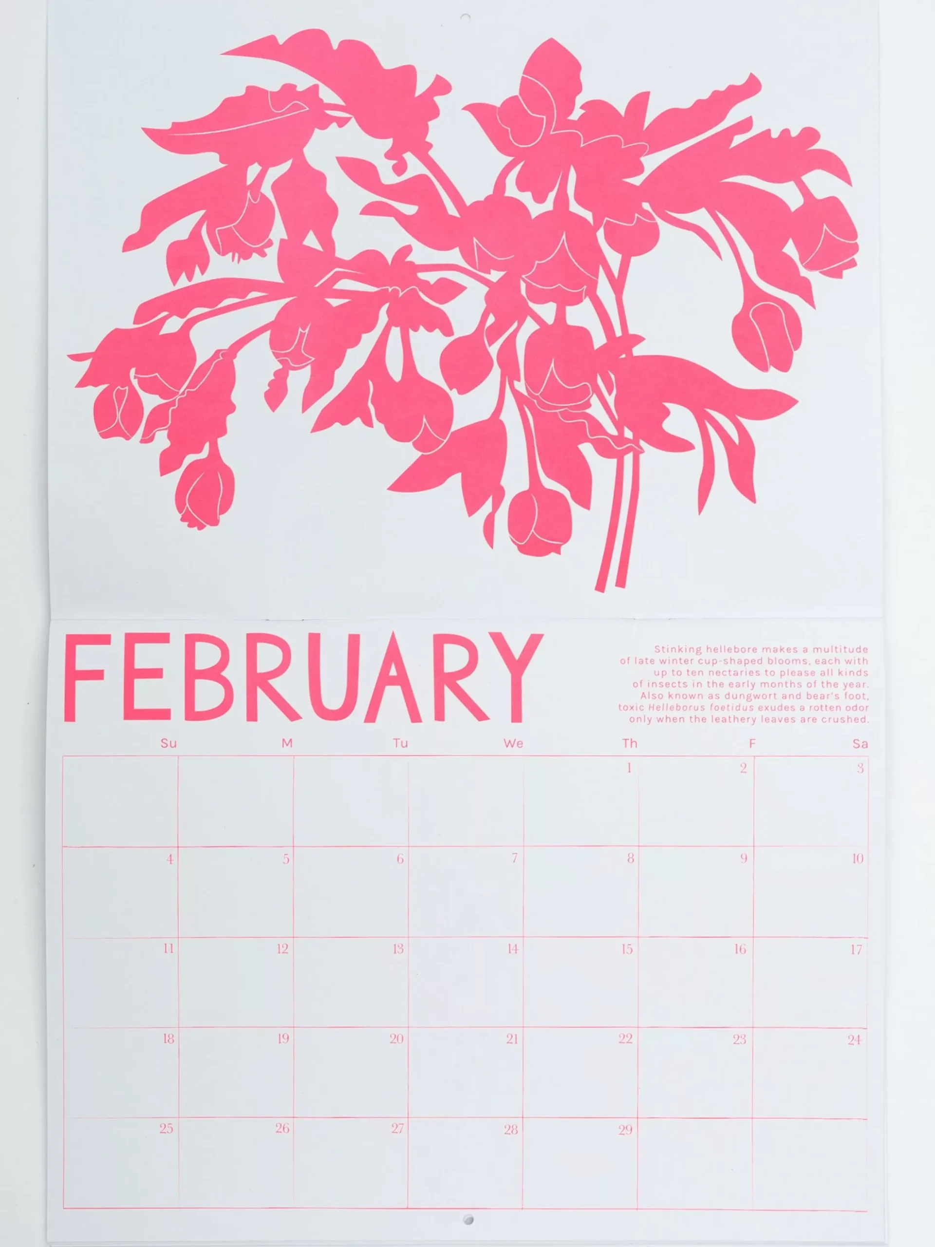Fashion 2024 Calendar - Pollinator Plants! Calendar