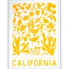 Best Sale California Screen Print Science And Nature