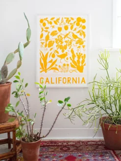 Best Sale California Screen Print Science And Nature