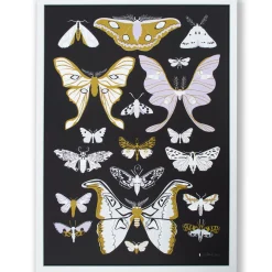 Cheap Moths Signed Poster Science And Nature