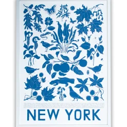 Outlet New York Screen Print Science And Nature