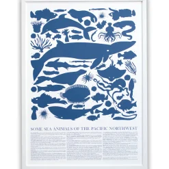 New Print - Blue Sea Animals Of The Pacific Northwest Poster Science And Nature